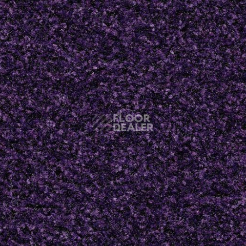 Грязезащитные покрытия Forbo Coral Brush 5709 royal purple фото 1 | FLOORDEALER
